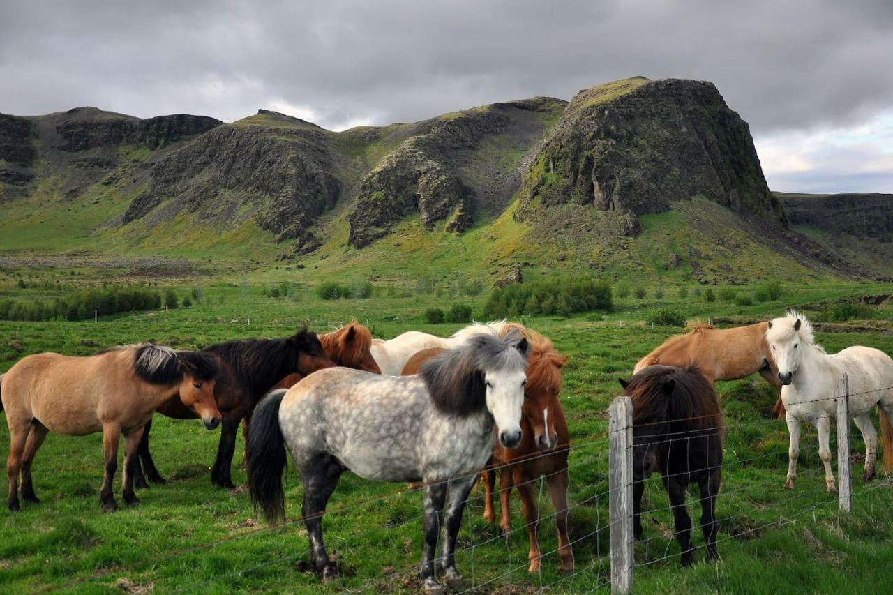 Lundur Holiday home